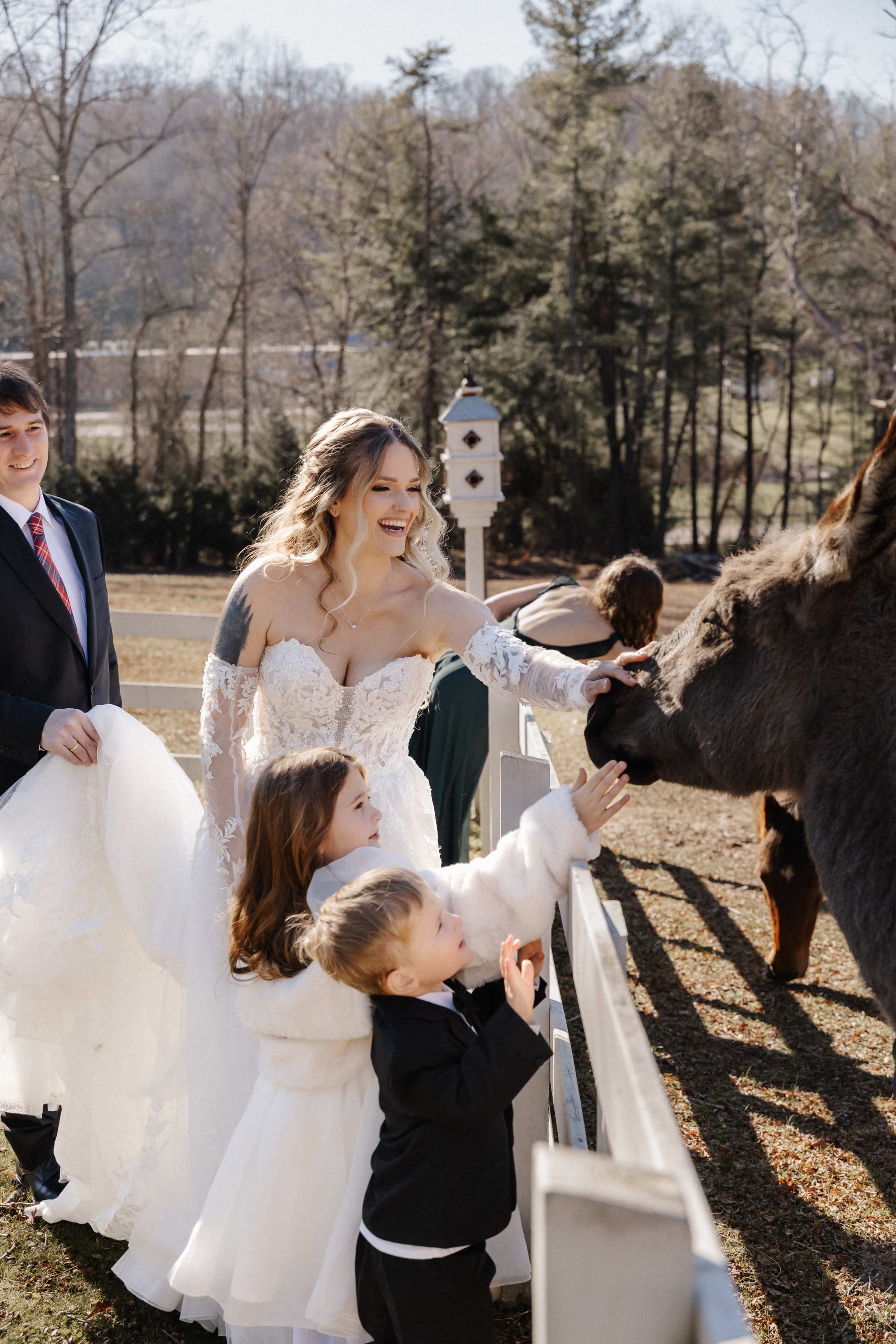 Bride laughing with children petting donkey at white fence on farm